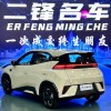 Seagull 2025 Smart Driving Edition 305km Free Edition