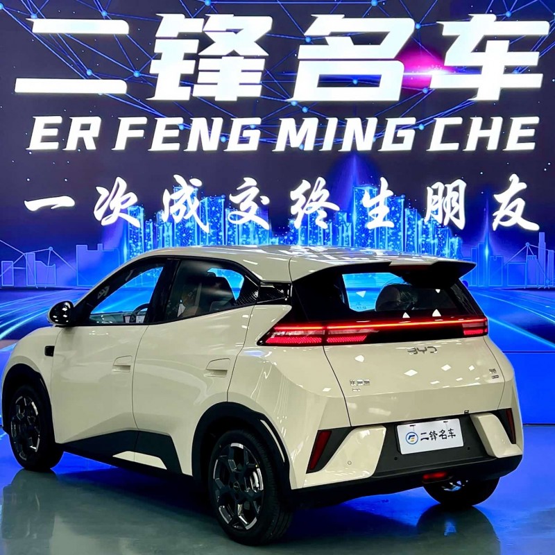 Seagull 2025 Smart Driving Edition 305km Free Edition Seagull 2025 Smart Driving Edition 305km Free Edition
