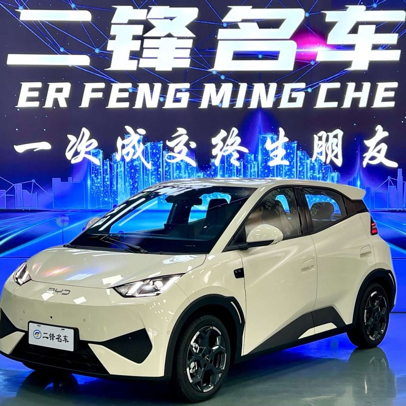 Seagull 2025 Smart Driving Edition 305km Free Edition