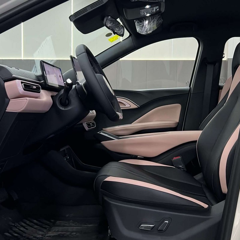 Seagull 2025 Smart Driving Edition 305km Free Edition Seagull 2025 Smart Driving Edition 305km Free Edition