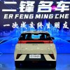 Seagull 2025 Smart Driving Edition 305km Free Edition
