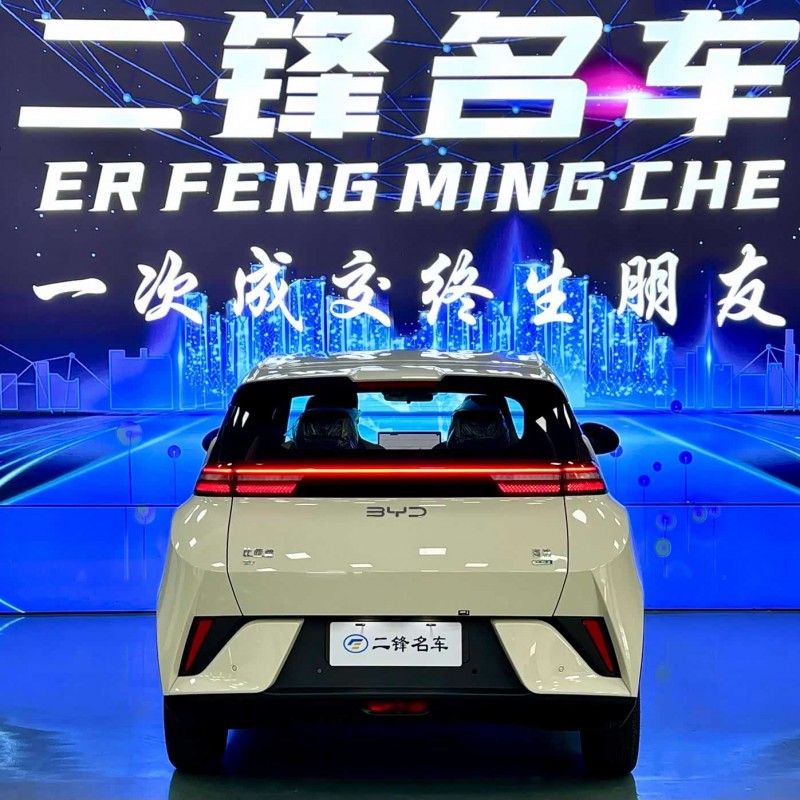 Seagull 2025 Smart Driving Edition 305km Free Edition Seagull 2025 Smart Driving Edition 305km Free Edition