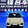 Seagull 2025 Smart Driving Edition 305km Free Edition