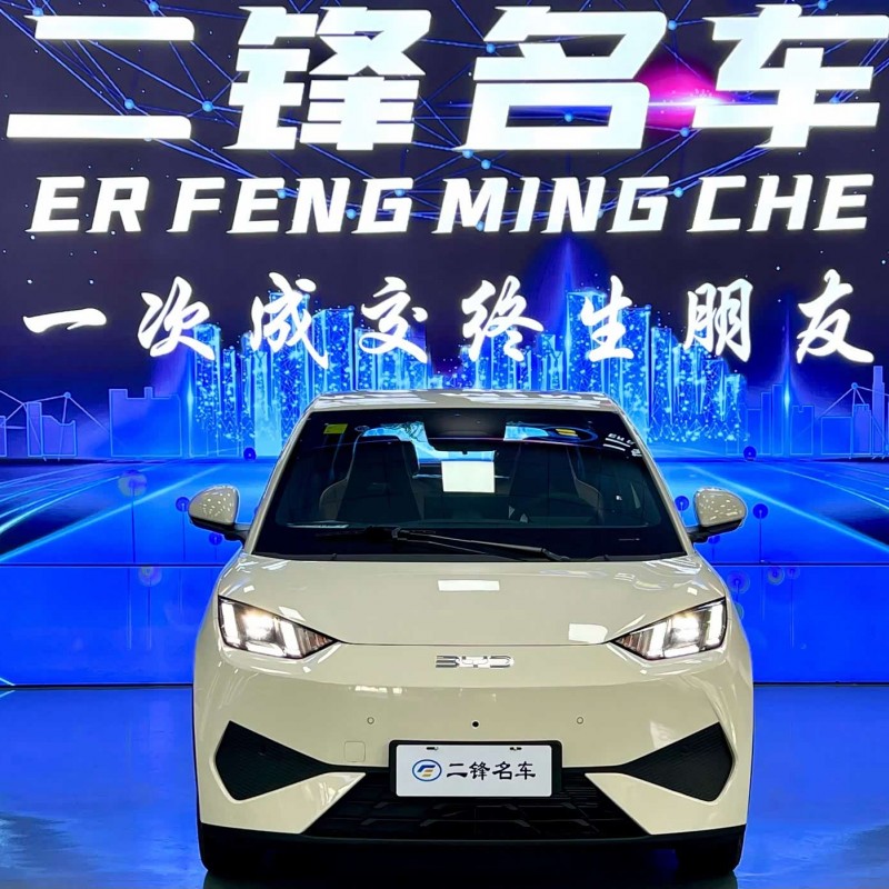 Seagull 2025 Smart Driving Edition 305km Free Edition Seagull 2025 Smart Driving Edition 305km Free Edition