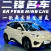 Seagull 2025 Smart Driving Edition 305km Free Edition