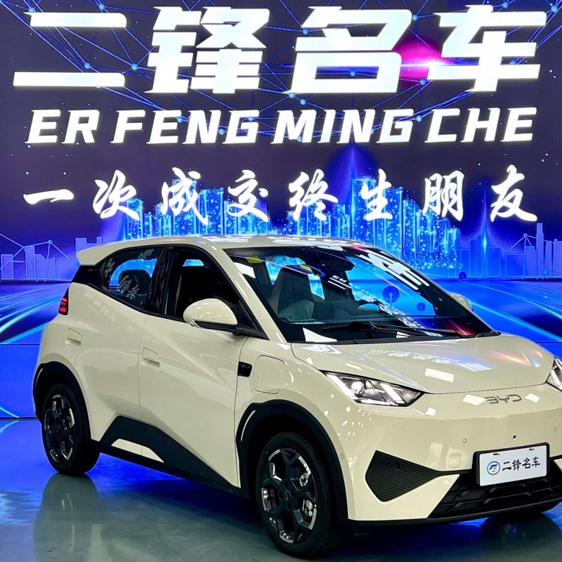 Seagull 2025 Smart Driving Edition 305km Free Edition Seagull 2025 Smart Driving Edition 305km Free Edition