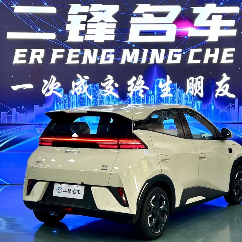 Seagull 2025 Smart Driving Edition 305km Free Edition Seagull 2025 Smart Driving Edition 305km Free Edition