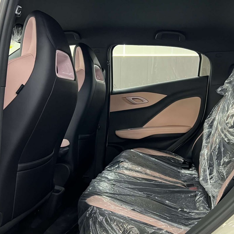 Seagull 2025 Smart Driving Edition 305km Free Edition Seagull 2025 Smart Driving Edition 305km Free Edition