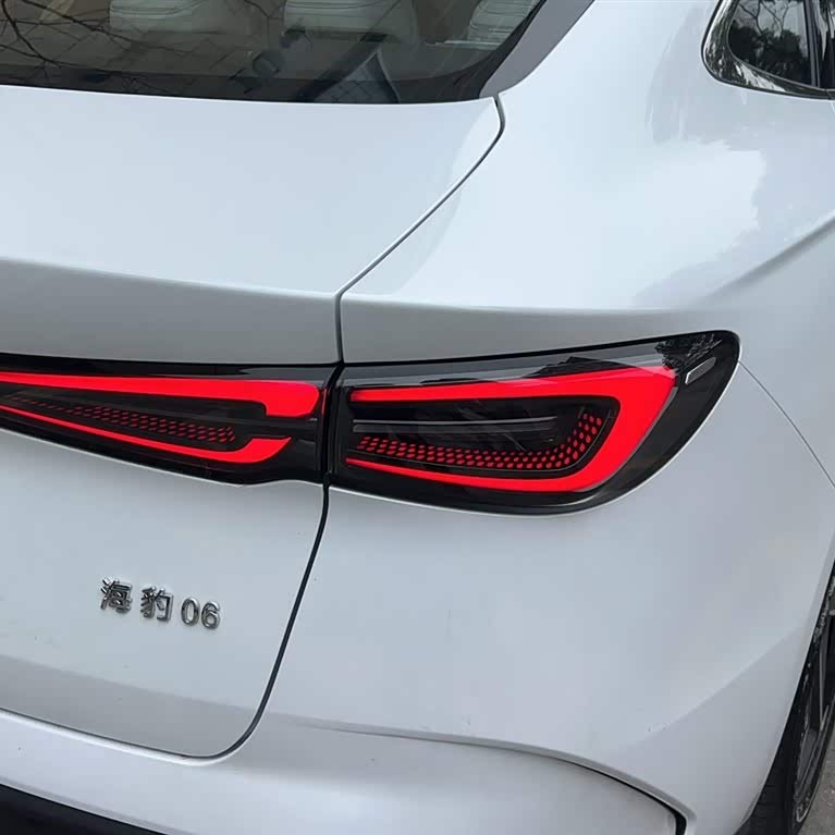 Haibao 06 New Energy 2024 DM-i 120KM Flagship Model Haibao 06 New Energy 2024 DM-i 120KM Flagship Model