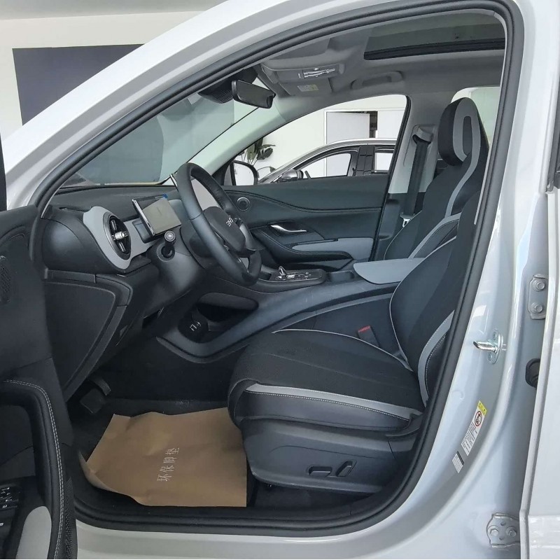 Sea Lion 05 DM-i 2025 DM-i 115KM Flagship Model Sea Lion 05 DM-i 2025 DM-i 115KM Flagship Model