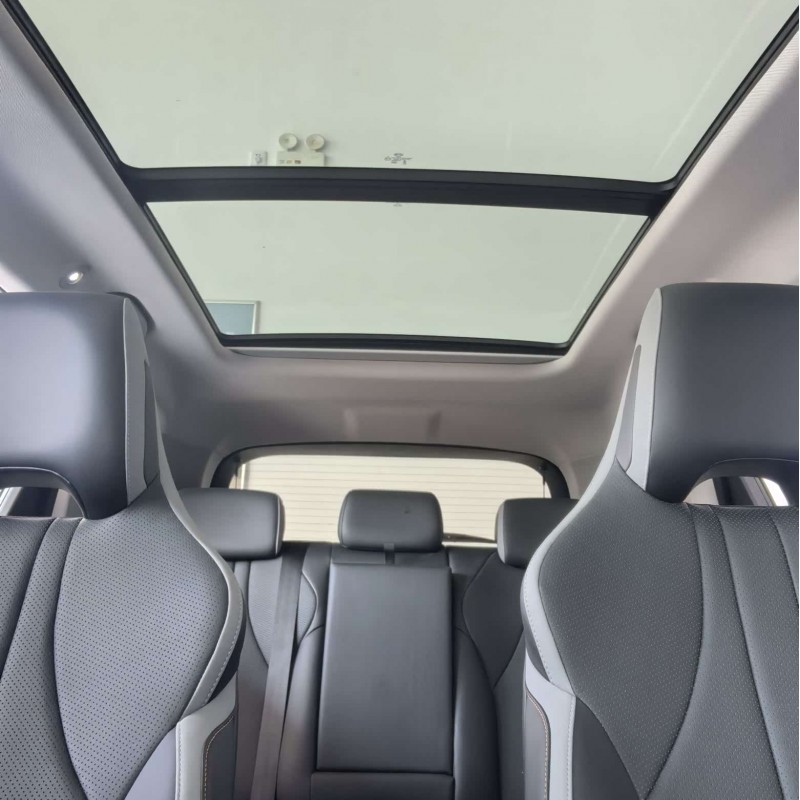 Sea Lion 05 DM-i 2025 DM-i 115KM Flagship Model Sea Lion 05 DM-i 2025 DM-i 115KM Flagship Model