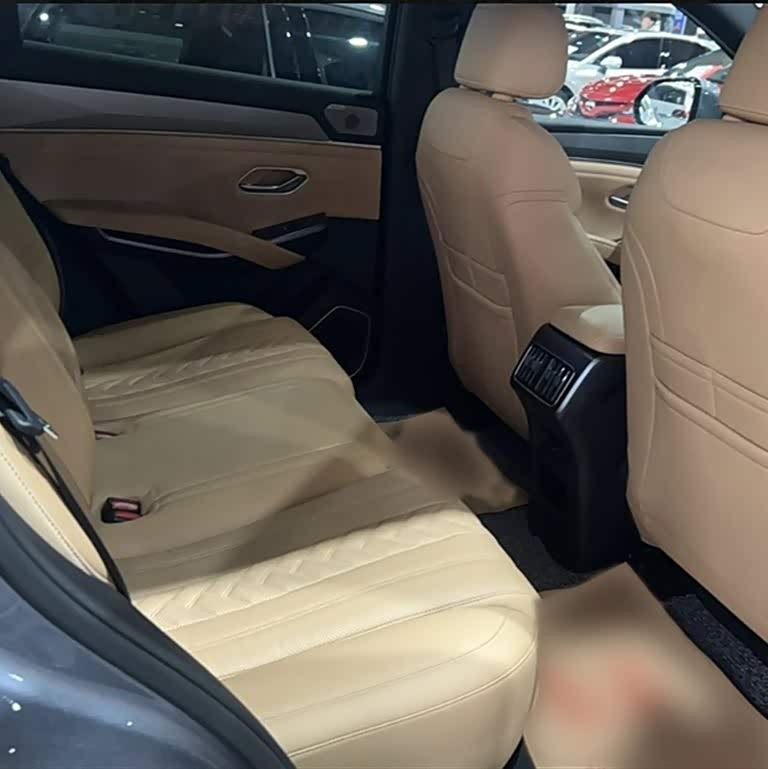 Song L DM-i 2024 160km Excellence Edition Song L DM-i 2024 160km Excellence Edition