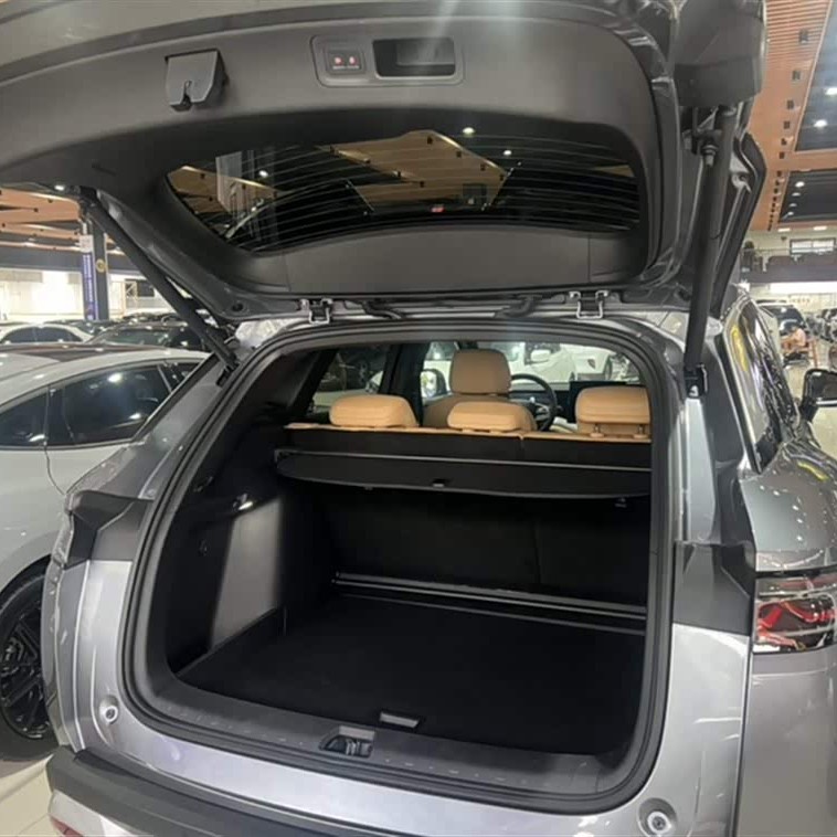 Song L DM-i 2024 160km Excellence Edition Song L DM-i 2024 160km Excellence Edition