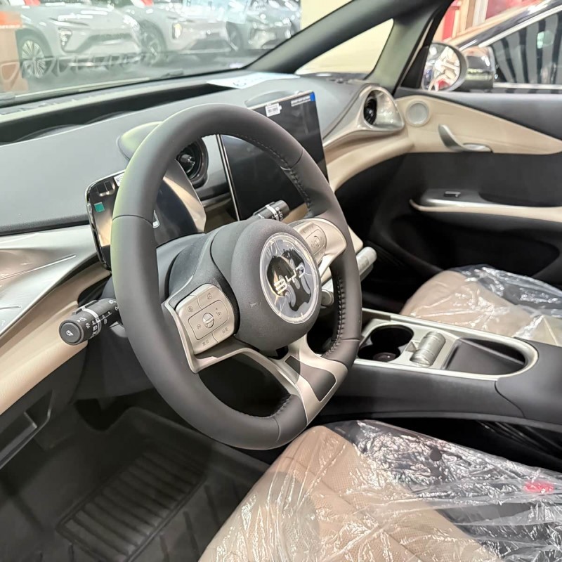 Dolphin 2025 420km Freedom Edition Dolphin 2025 420km Freedom Edition