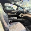 Dolphin 2025 420km Freedom Edition Dolphin 2025 420km Freedom Edition