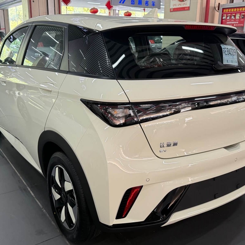 Dolphin 2025 420km Freedom Edition Dolphin 2025 420km Freedom Edition