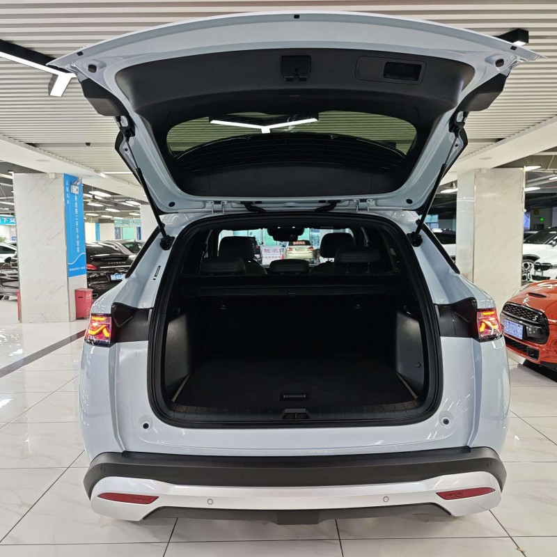 Song L DM-i 2025 Smart Driving Edition 112km Leading Model Song L DM-i 2025 Smart Driving Edition 112km Leading Model