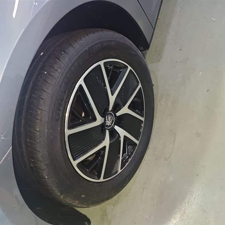 Qin L 2024 DM-i 120KM Beyond Edition Qin L 2024 DM-i 120KM Beyond Edition