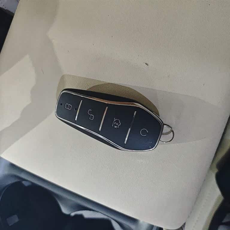 Qin L 2024 DM-i 120KM Beyond Edition Qin L 2024 DM-i 120KM Beyond Edition