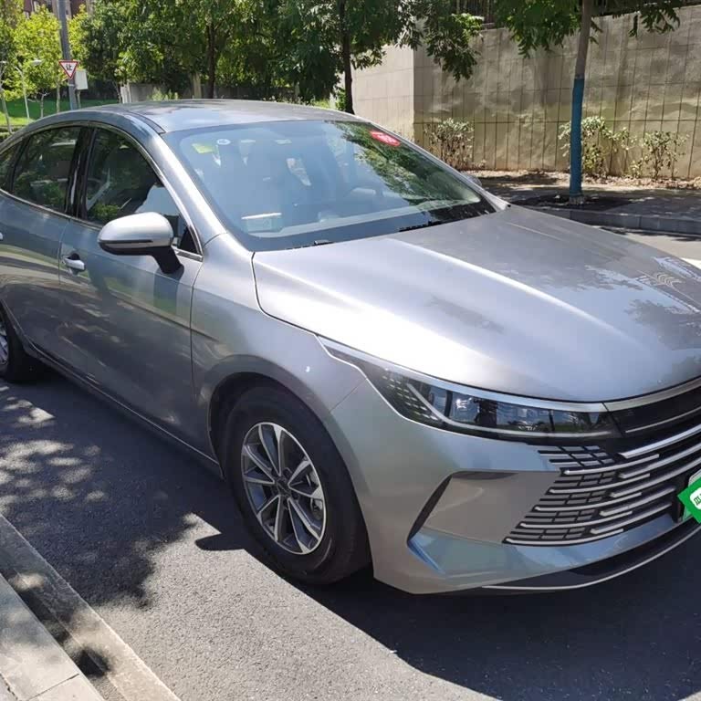Destroyer 05 2024 Glory Edition DM-i 55KM Luxury Model Destroyer 05 2024 Glory Edition DM-i 55KM Luxury Model