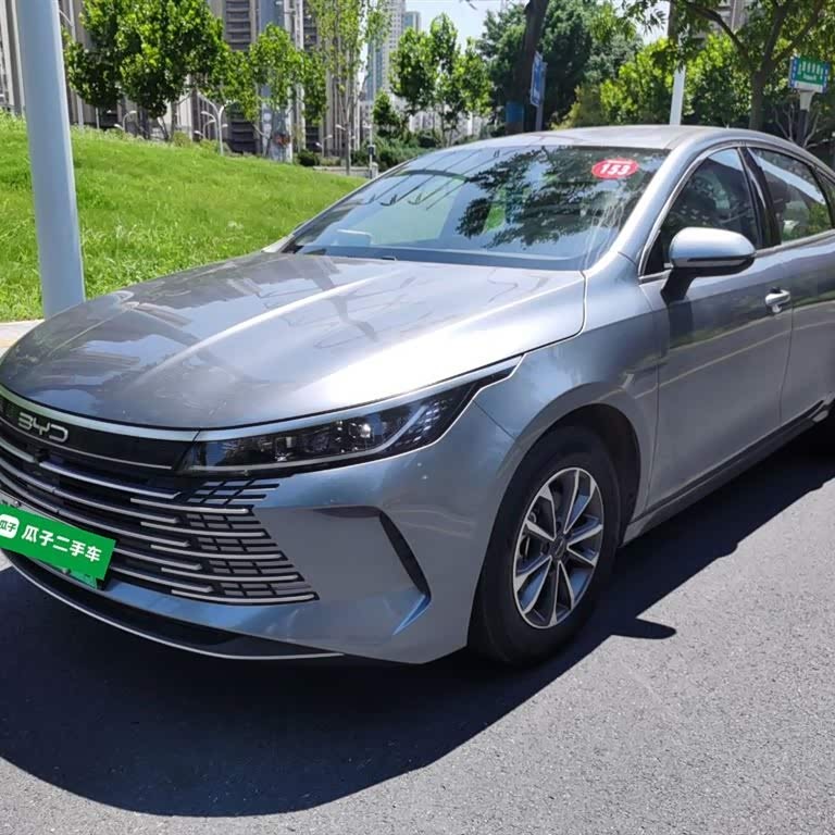 Destroyer 05 2024 Glory Edition DM-i 55KM Luxury Model Destroyer 05 2024 Glory Edition DM-i 55KM Luxury Model