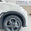 Seagull 2024 Glory Edition 405km Flying Edition