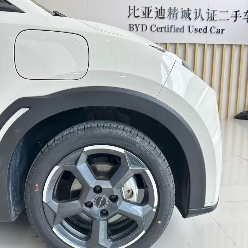 Seagull 2024 Glory Edition 405km Flying Edition Seagull 2024 Glory Edition 405km Flying Edition