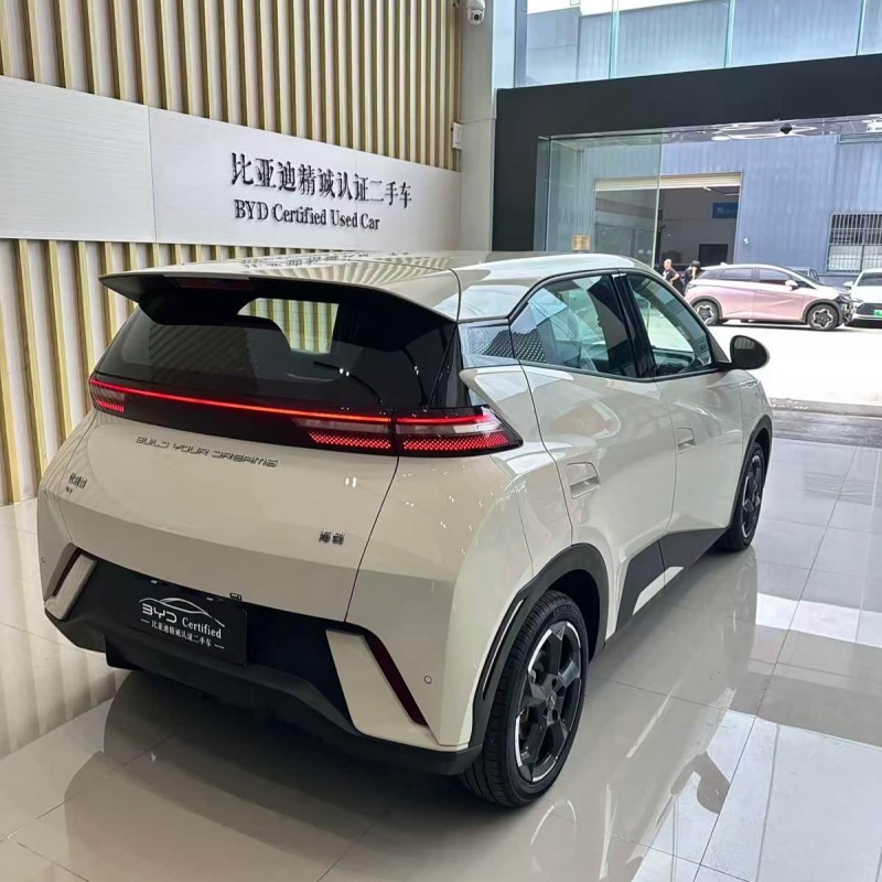 Seagull 2024 Glory Edition 405km Flying Edition Seagull 2024 Glory Edition 405km Flying Edition
