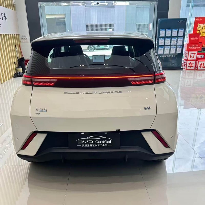 Seagull 2024 Glory Edition 405km Flying Edition Seagull 2024 Glory Edition 405km Flying Edition