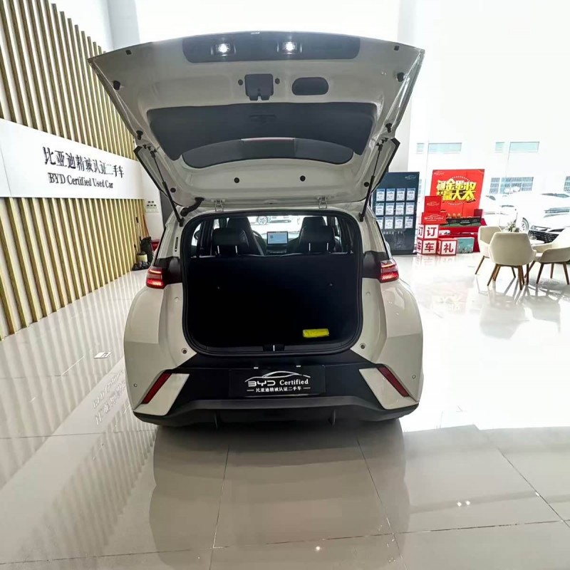 Seagull 2024 Glory Edition 405km Flying Edition Seagull 2024 Glory Edition 405km Flying Edition