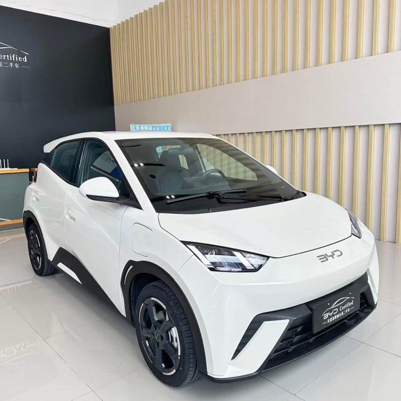 Seagull 2024 Glory Edition 405km Flying Edition Seagull 2024 Glory Edition 405km Flying Edition