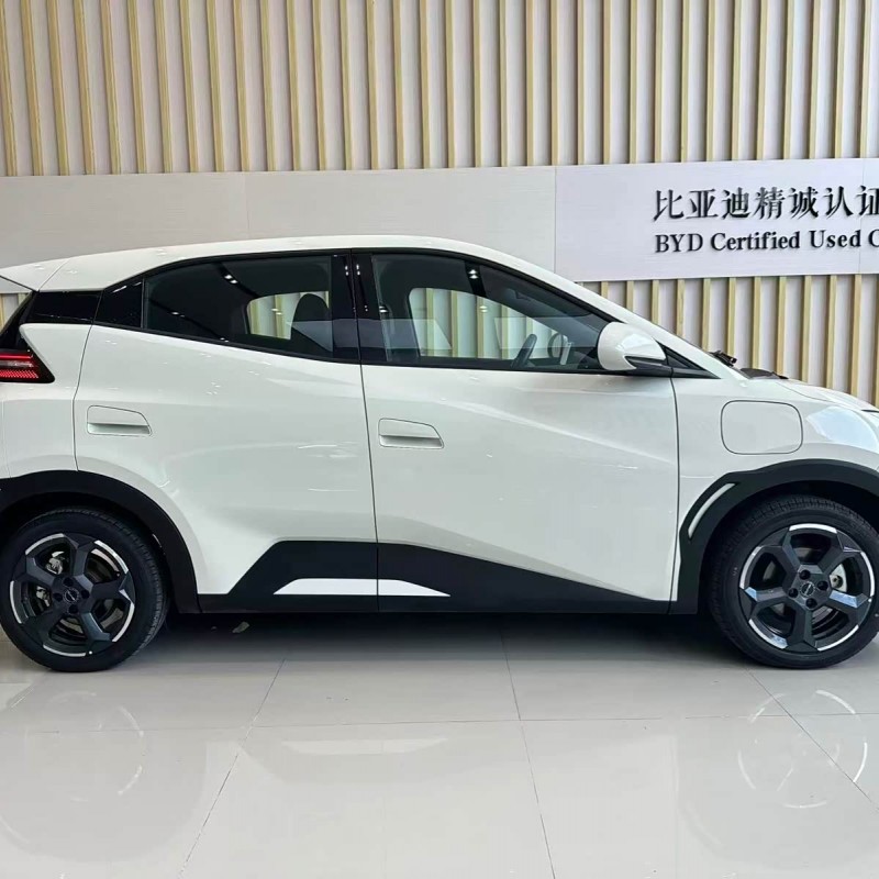 Seagull 2024 Glory Edition 405km Flying Edition Seagull 2024 Glory Edition 405km Flying Edition
