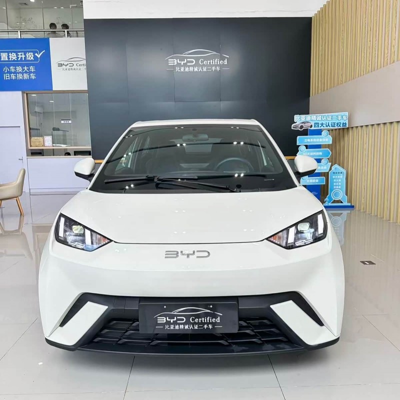 Seagull 2024 Glory Edition 405km Flying Edition Seagull 2024 Glory Edition 405km Flying Edition