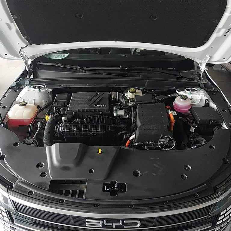 Destroyer 05 2024 Glory Edition DM-i 55KM Luxury Model Destroyer 05 2024 Glory Edition DM-i 55KM Luxury Model