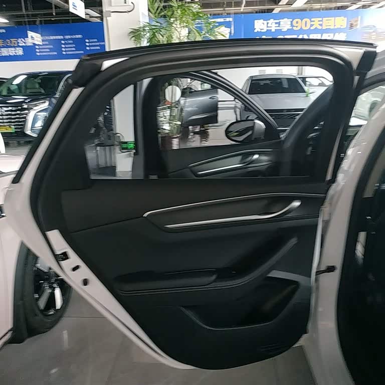 Destroyer 05 2024 Glory Edition DM-i 55KM Luxury Model Destroyer 05 2024 Glory Edition DM-i 55KM Luxury Model