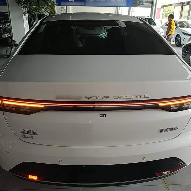 Destroyer 05 2024 Glory Edition DM-i 55KM Luxury Model Destroyer 05 2024 Glory Edition DM-i 55KM Luxury Model