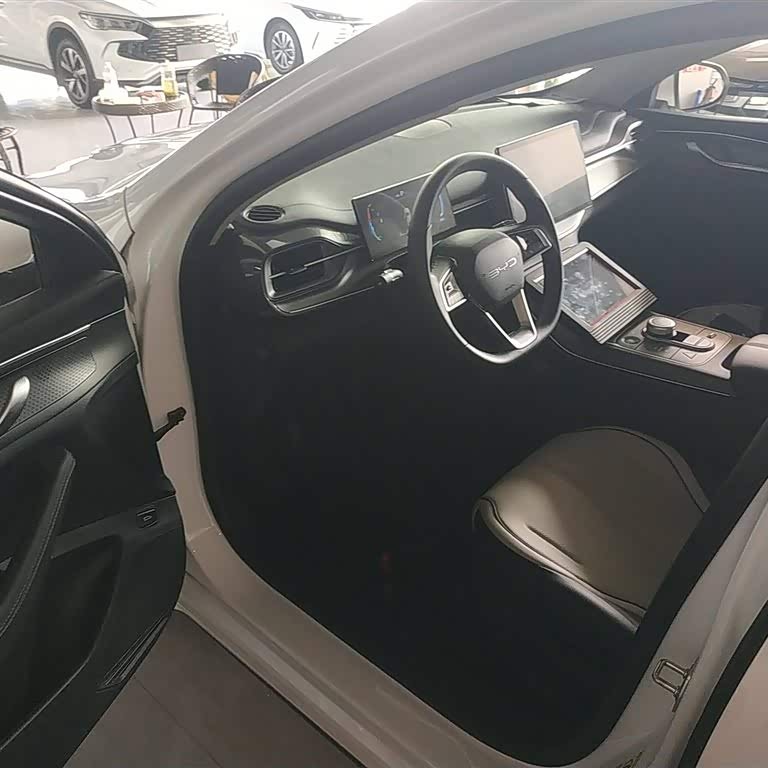 Destroyer 05 2024 Glory Edition DM-i 55KM Luxury Model Destroyer 05 2024 Glory Edition DM-i 55KM Luxury Model