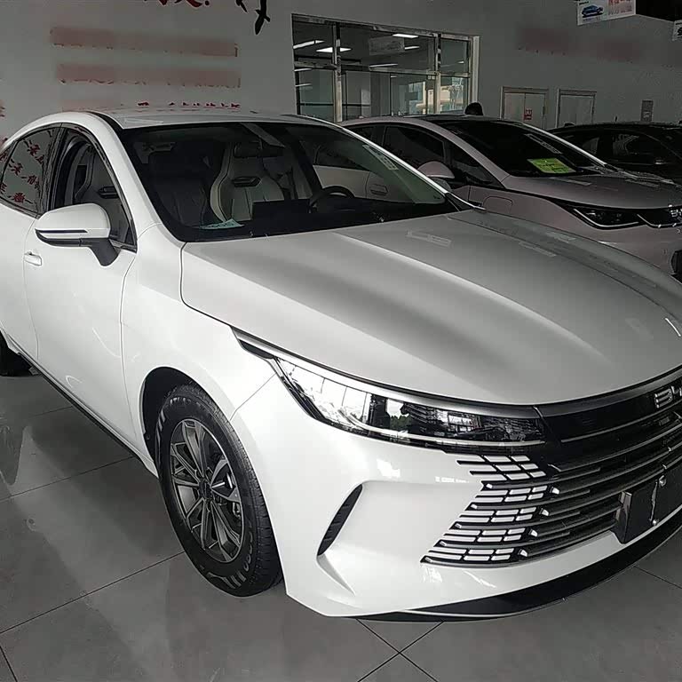 Destroyer 05 2024 Glory Edition DM-i 55KM Luxury Model Destroyer 05 2024 Glory Edition DM-i 55KM Luxury Model