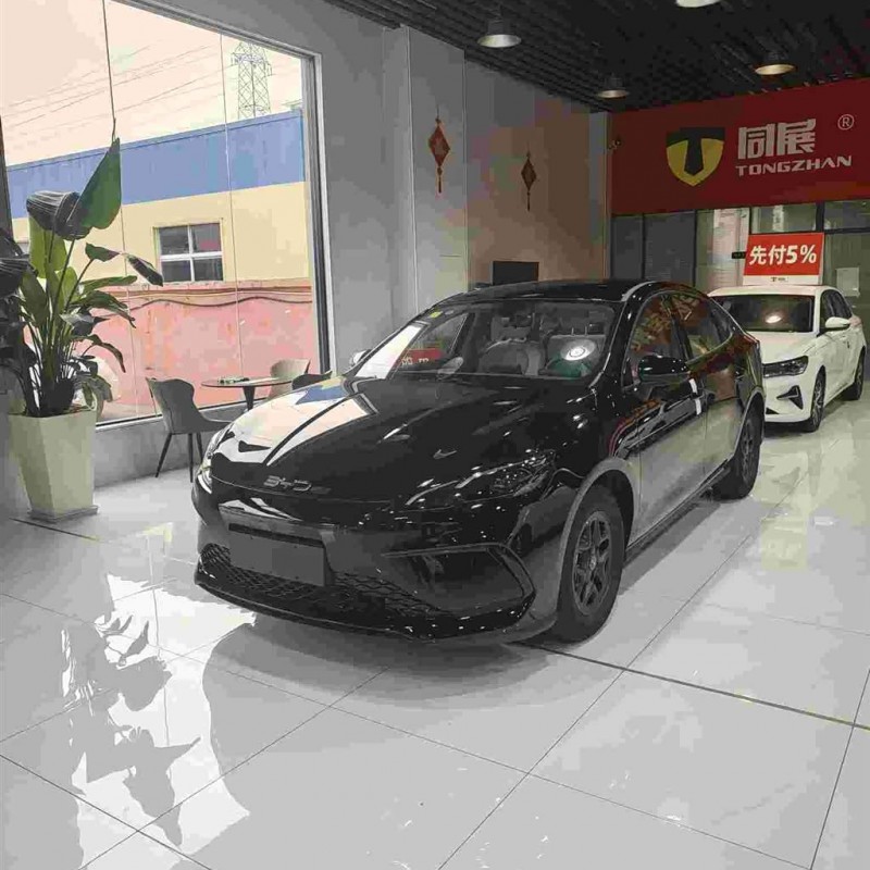 Seal 05 DM-i 2025 DM-i Intelligent Driving Edition 55KM Luxury Model
