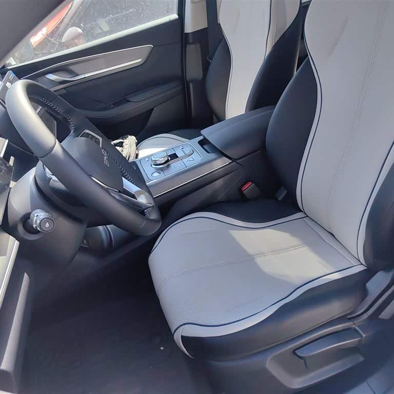 Destroyer 05 2024 Glory Edition DM-i 55KM Luxury Model Destroyer 05 2024 Glory Edition DM-i 55KM Luxury Model
