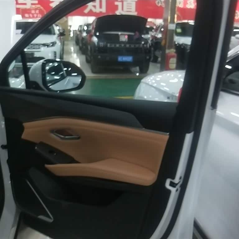 Song L DM-i 2024 model 112km Leading model Song L DM-i 2024 model 112km Leading model
