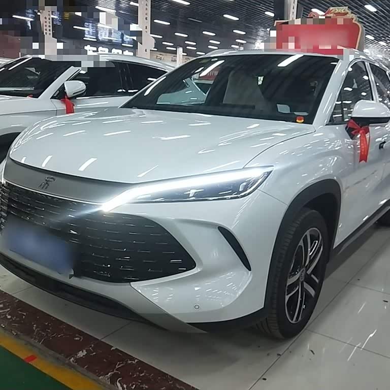 Song L DM-i 2024 model 112km Leading model Song L DM-i 2024 model 112km Leading model
