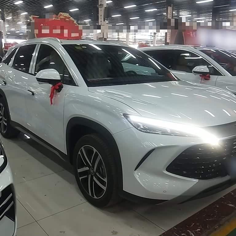 Song L DM-i 2024 model 112km Leading model Song L DM-i 2024 model 112km Leading model