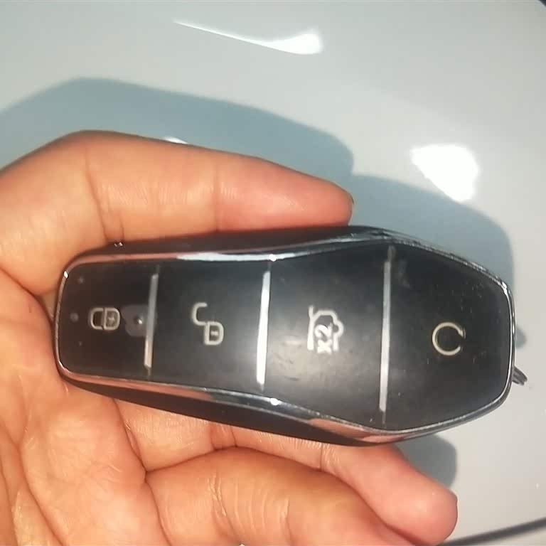 Song L DM-i 2024 model 112km Leading model Song L DM-i 2024 model 112km Leading model