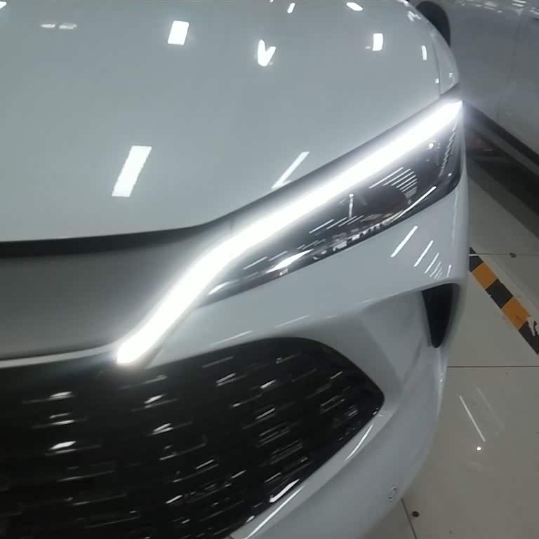 Song L DM-i 2024 model 112km Leading model Song L DM-i 2024 model 112km Leading model