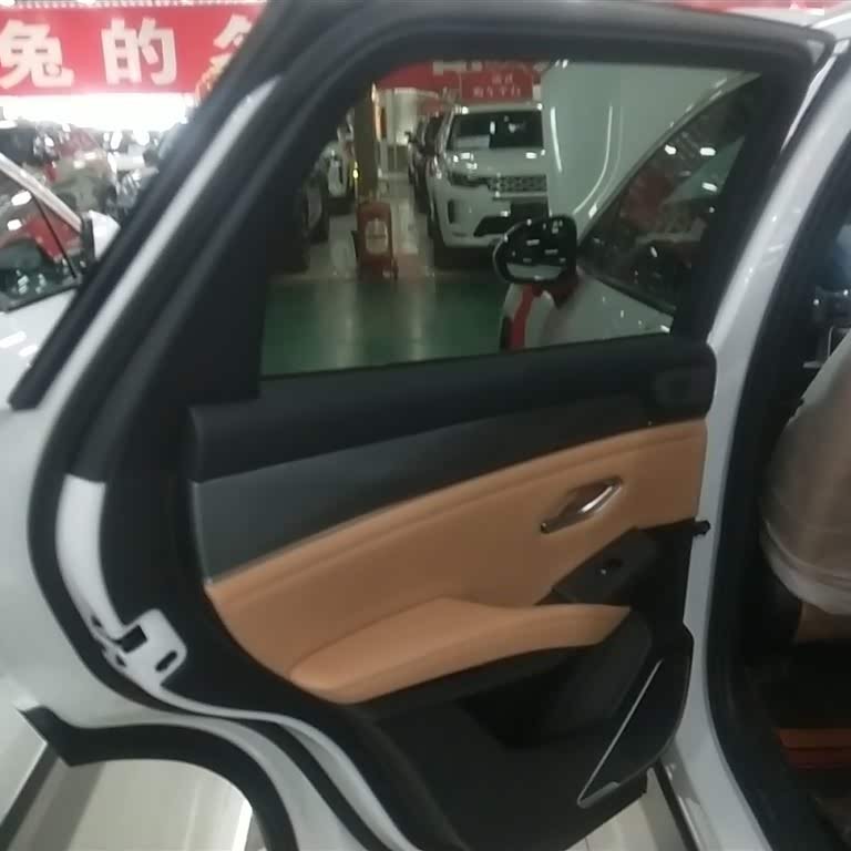 Song L DM-i 2024 model 112km Leading model Song L DM-i 2024 model 112km Leading model