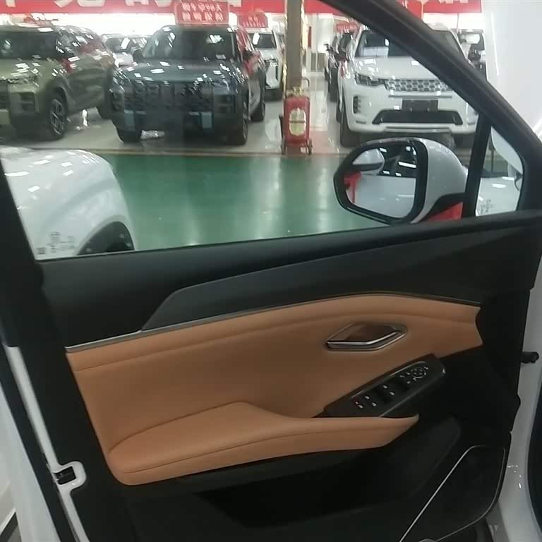 Song L DM-i 2024 model 112km Leading model Song L DM-i 2024 model 112km Leading model