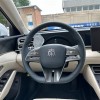 Qin L 2024 DM-i 80KM Leading Edition