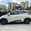 Seagull 2025 Smart Driving Edition 305km Vitality Edition