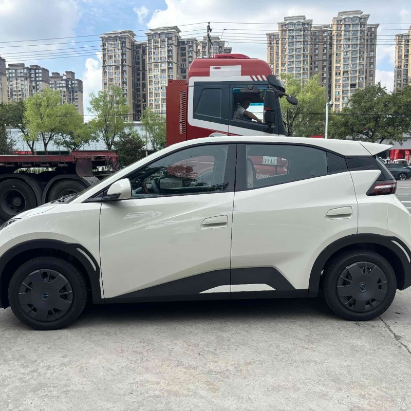 Seagull 2025 Smart Driving Edition 305km Vitality Edition Seagull 2025 Smart Driving Edition 305km Vitality Edition